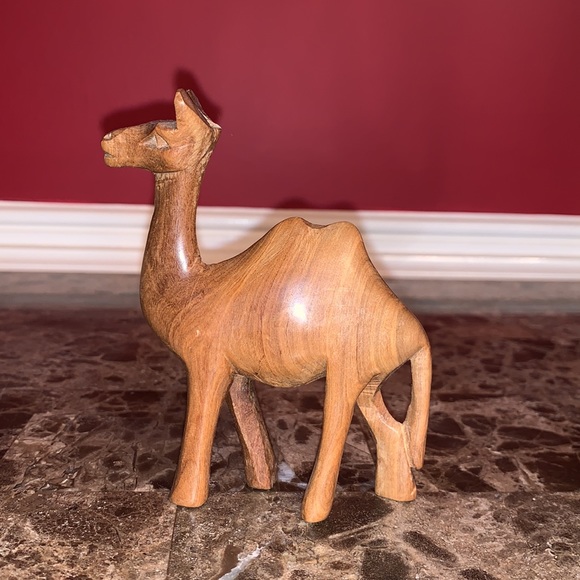 Camel - Picture 4 of 4